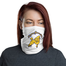 Load image into Gallery viewer, SGRHO Face Mask Cover &amp; Neck Gaiter