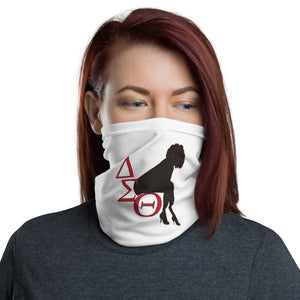 Delta #2 Face Mask Cover & Neck Gaiter