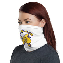 Load image into Gallery viewer, SGRHO Face Mask Cover &amp; Neck Gaiter
